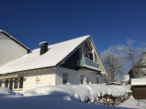 Holiday home in Winterberg with sauna